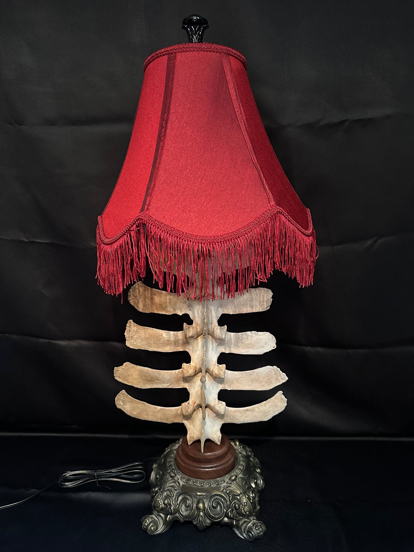 Bovine Spine Table Lamp