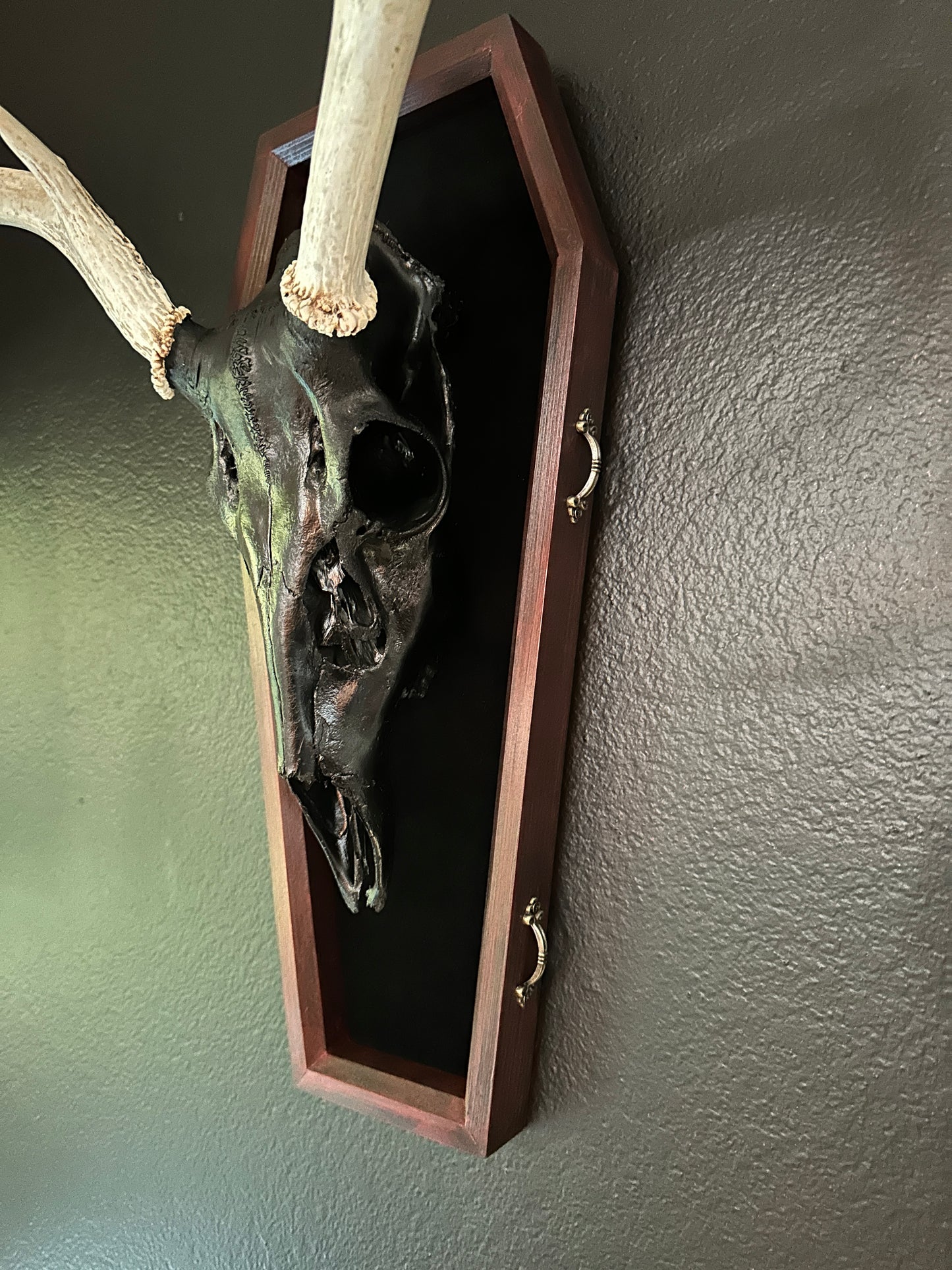 Toe Pincher Coffin Framed Black Deer Skull