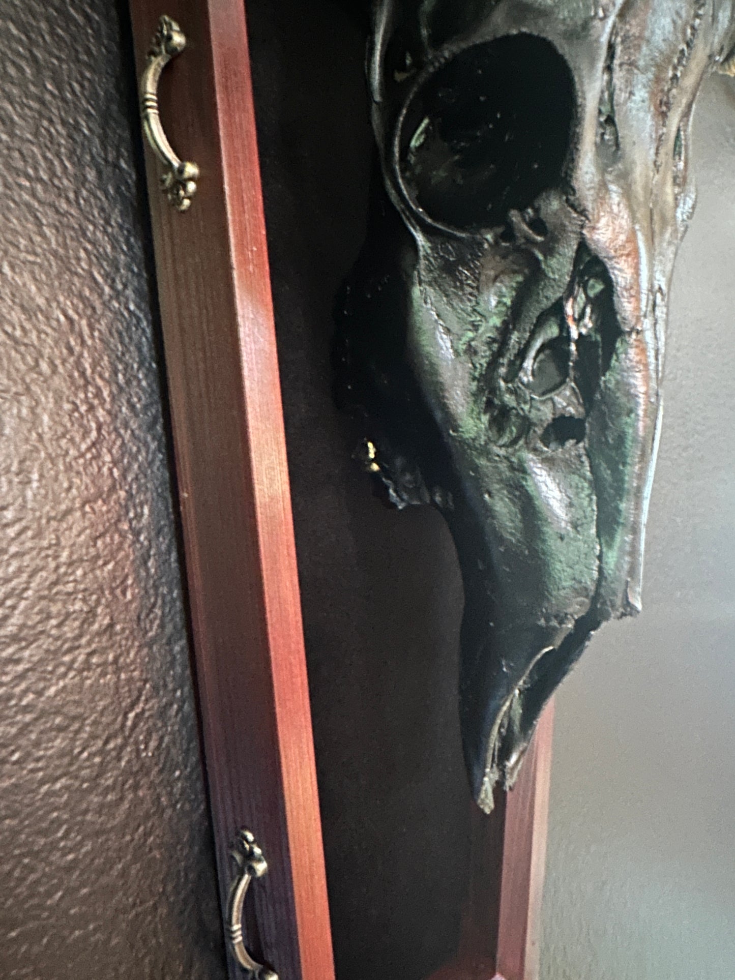 Toe Pincher Coffin Framed Black Deer Skull