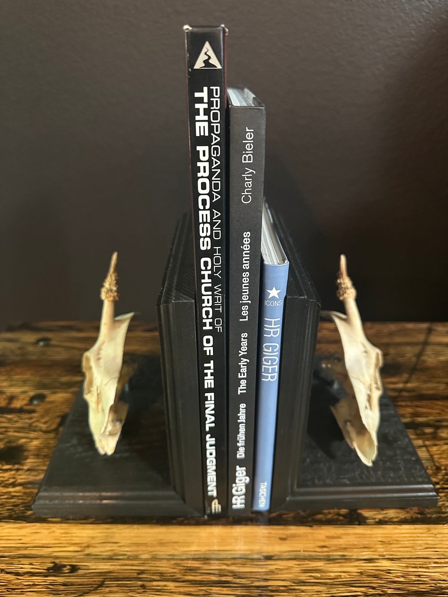 Roe Deer Skull Book Ends