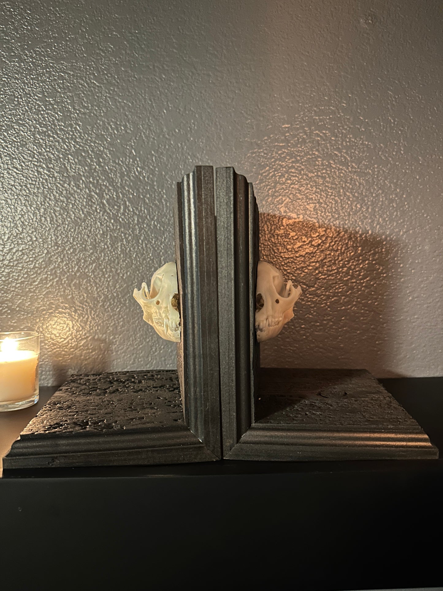 Raccoon Skull Book Ends
