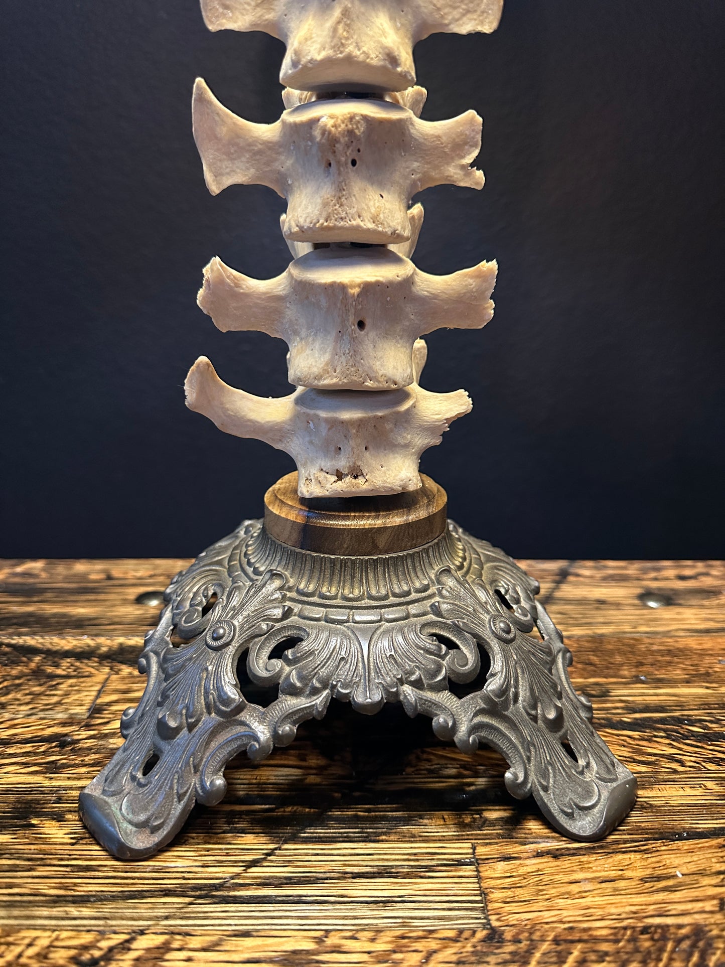 Pig Spine Table Lamp Black Limba