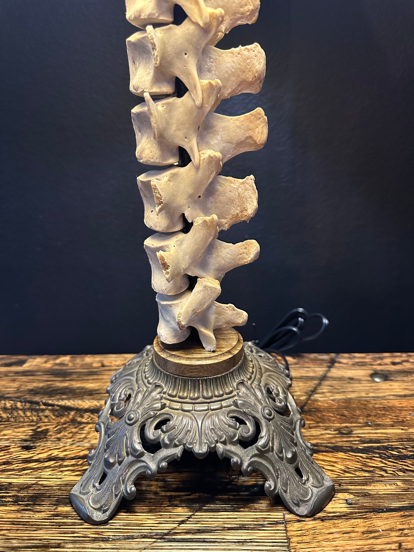 Pig Spine Table Lamp Black Limba