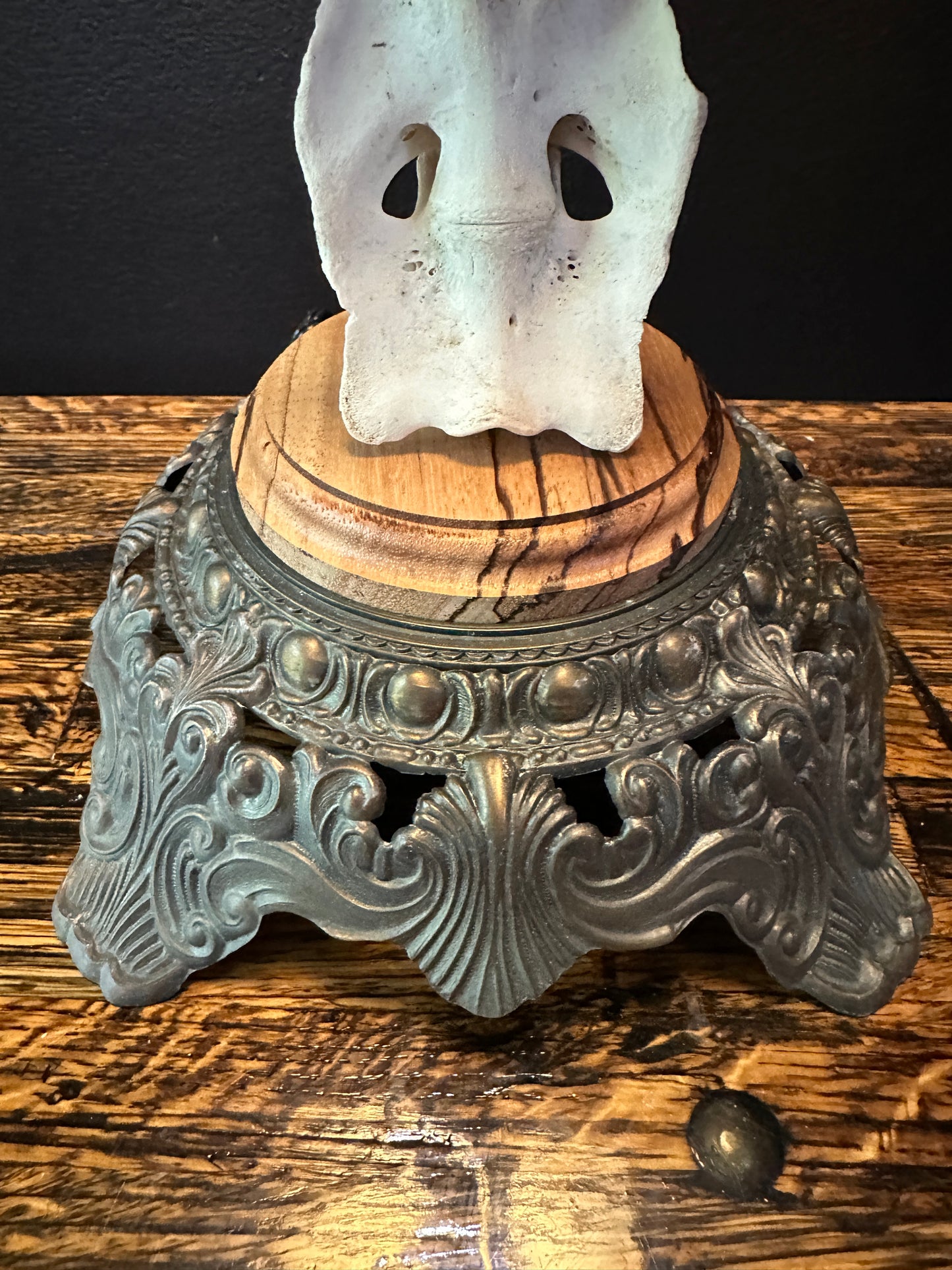 Elk Spine Table Lamp Zebra Wood