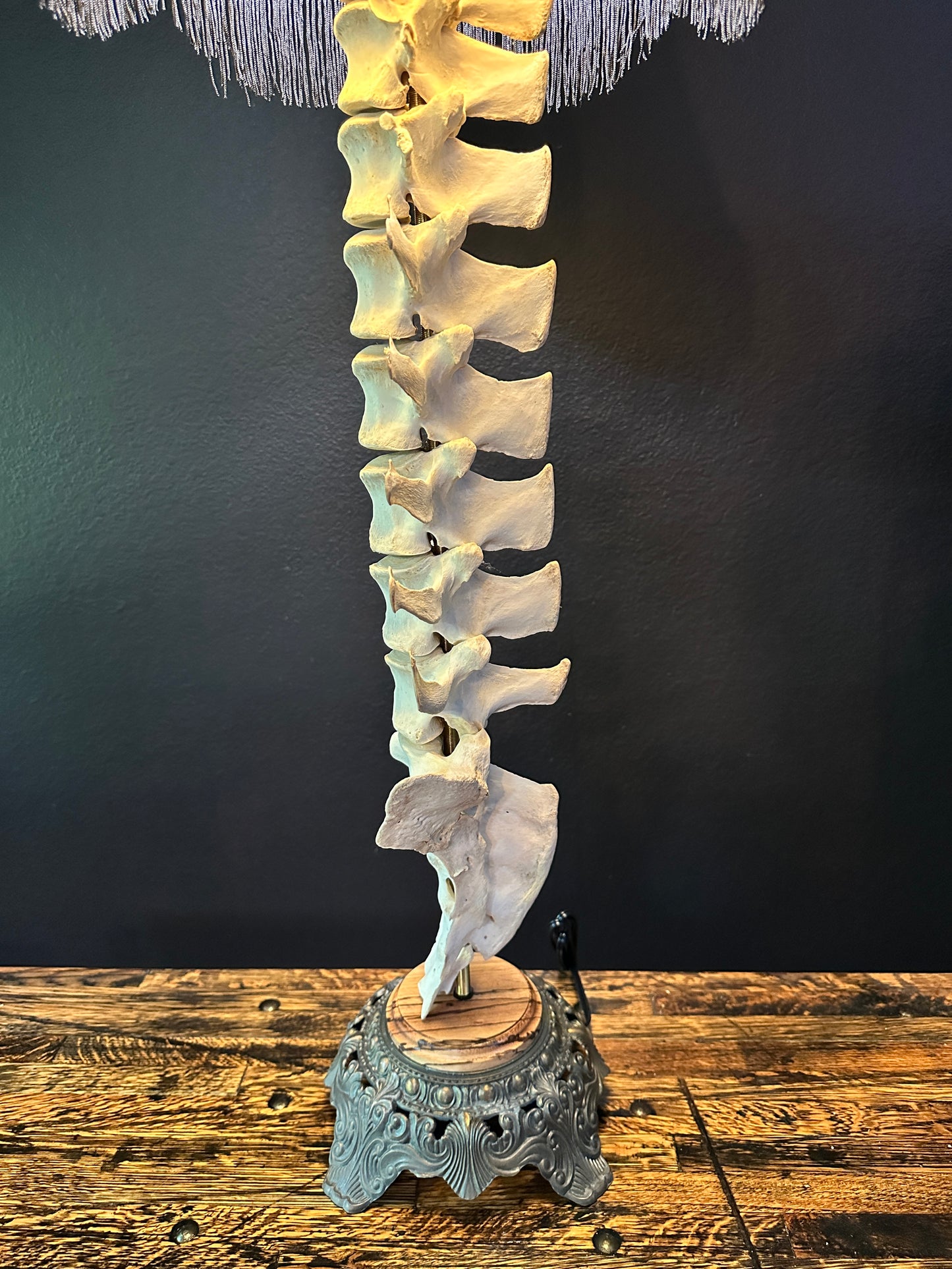 Elk Spine Table Lamp Zebra Wood