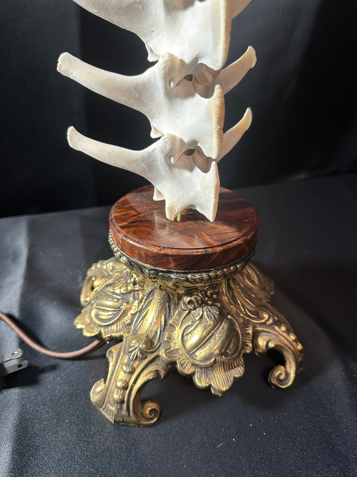 Deer Spine Table Lamp