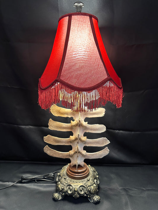 Bovine Spine Table Lamp