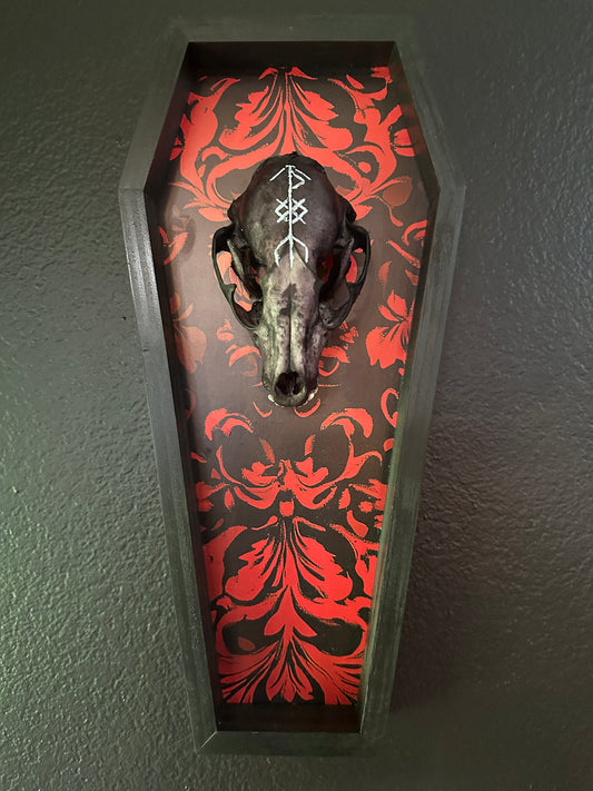 Toe Pincher Coffin Framed Dyed Raccoon Skull